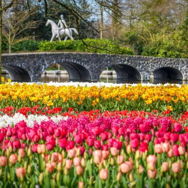 KEUKENHOF AND AMSTERDAM