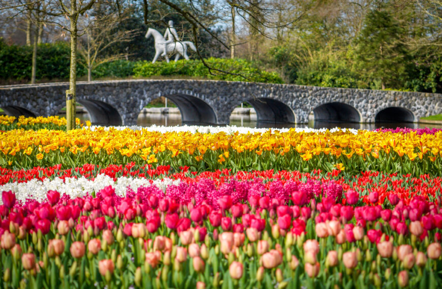 KEUKENHOF AND AMSTERDAM